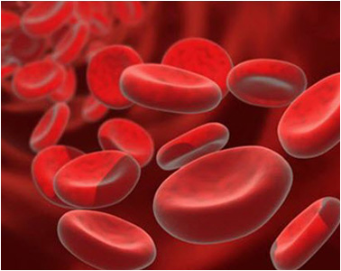Haematology